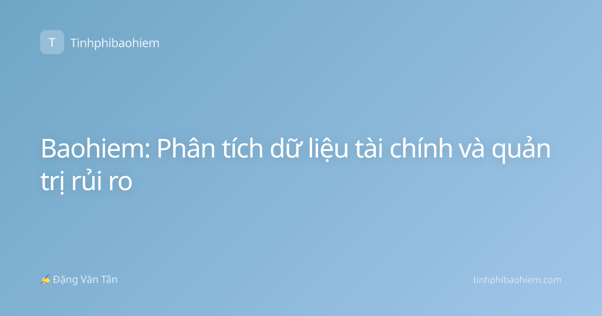 Baohiem: Phân tích dữ liệu tài chính và quản trị rủi ro
