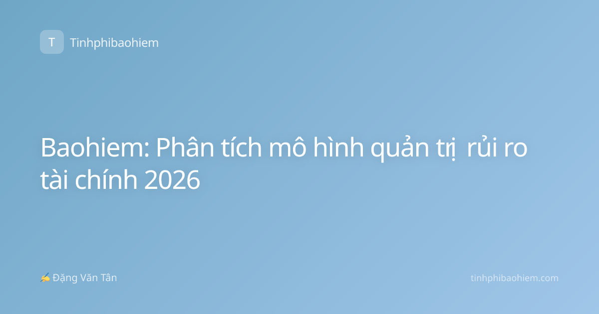 Baohiem: Phân tích mô hình quản trị rủi ro tài chính 2026